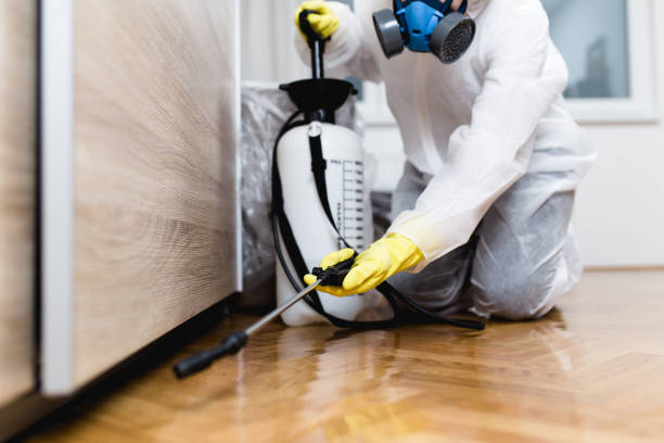 Best Termite Control Services  in Spring Lake Park, MN