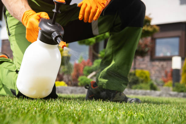 Best Local Pest Control Services  in Spring Lake Park, MN