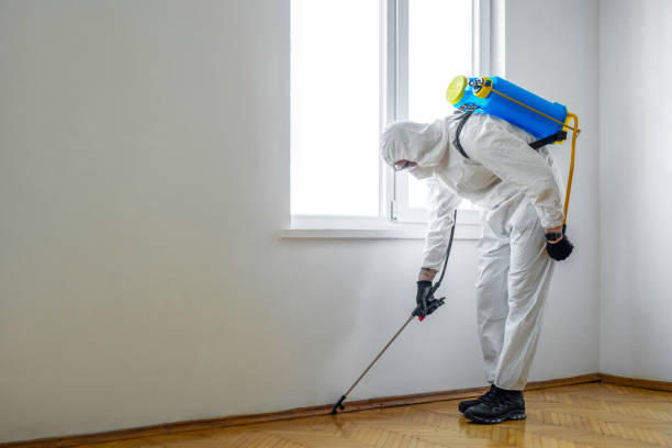 Best Pest Prevention Services  in Spring Lake Park, MN