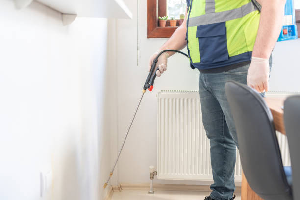 Best Ant Control Services  in Spring Lake Park, MN