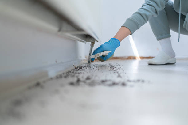 Best Wildlife Control Services  in Spring Lake Park, MN
